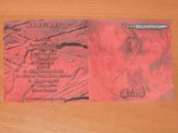 Uruk-Hai (AUT) : Elbenmacht